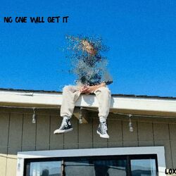 Cover of No One Will Get It