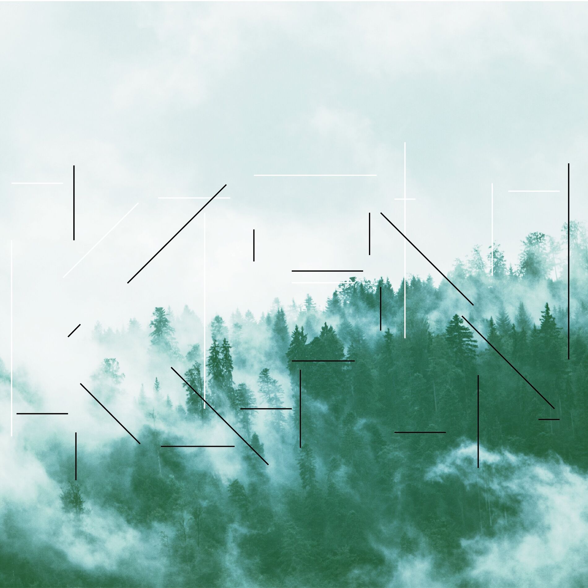 Album cover of KFN