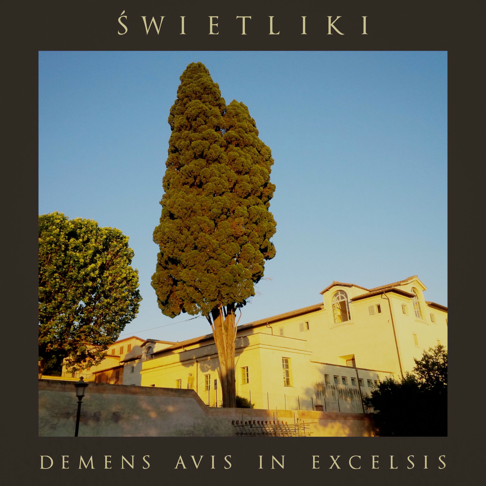 Album cover of Demens Avis In Excelsis