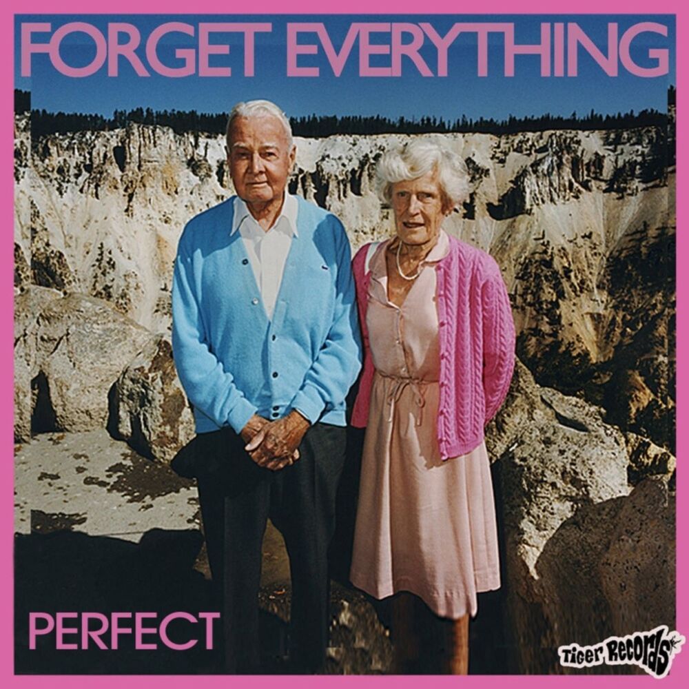 Picture of Forget Everything