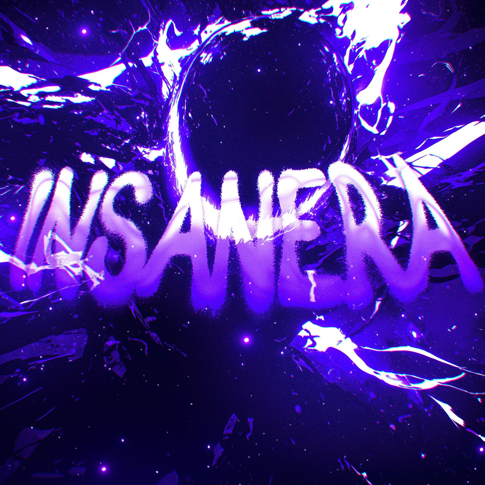 Album cover of Insanera