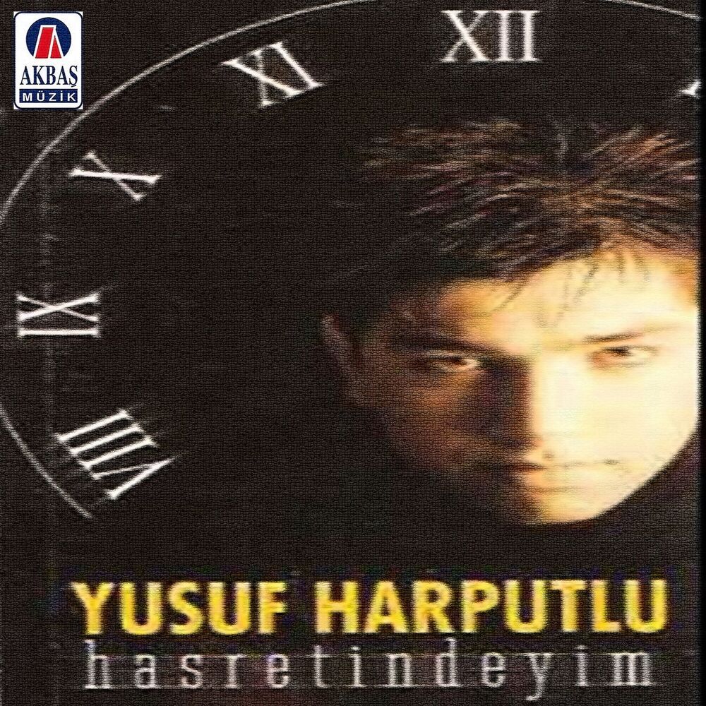 Picture of Hasretindeyim
