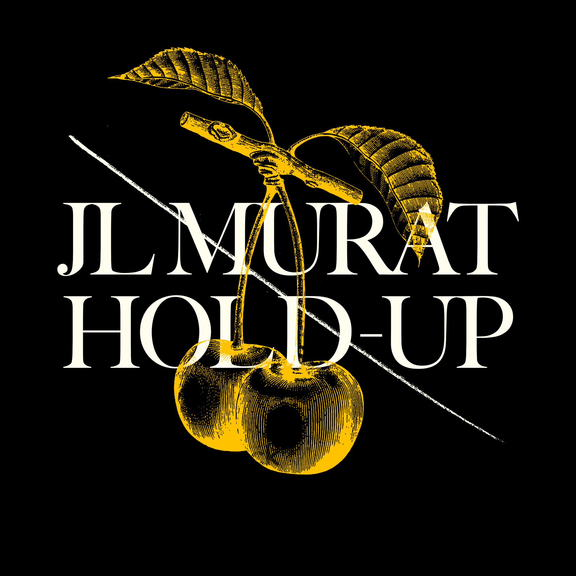 Album cover of Hold Up