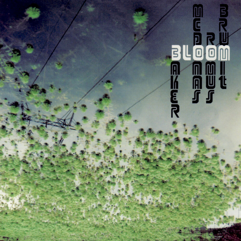 Picture of Bloom