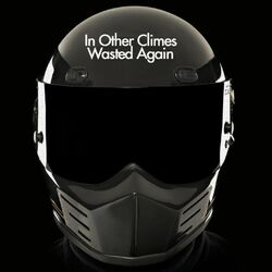 Cover of Wasted Again