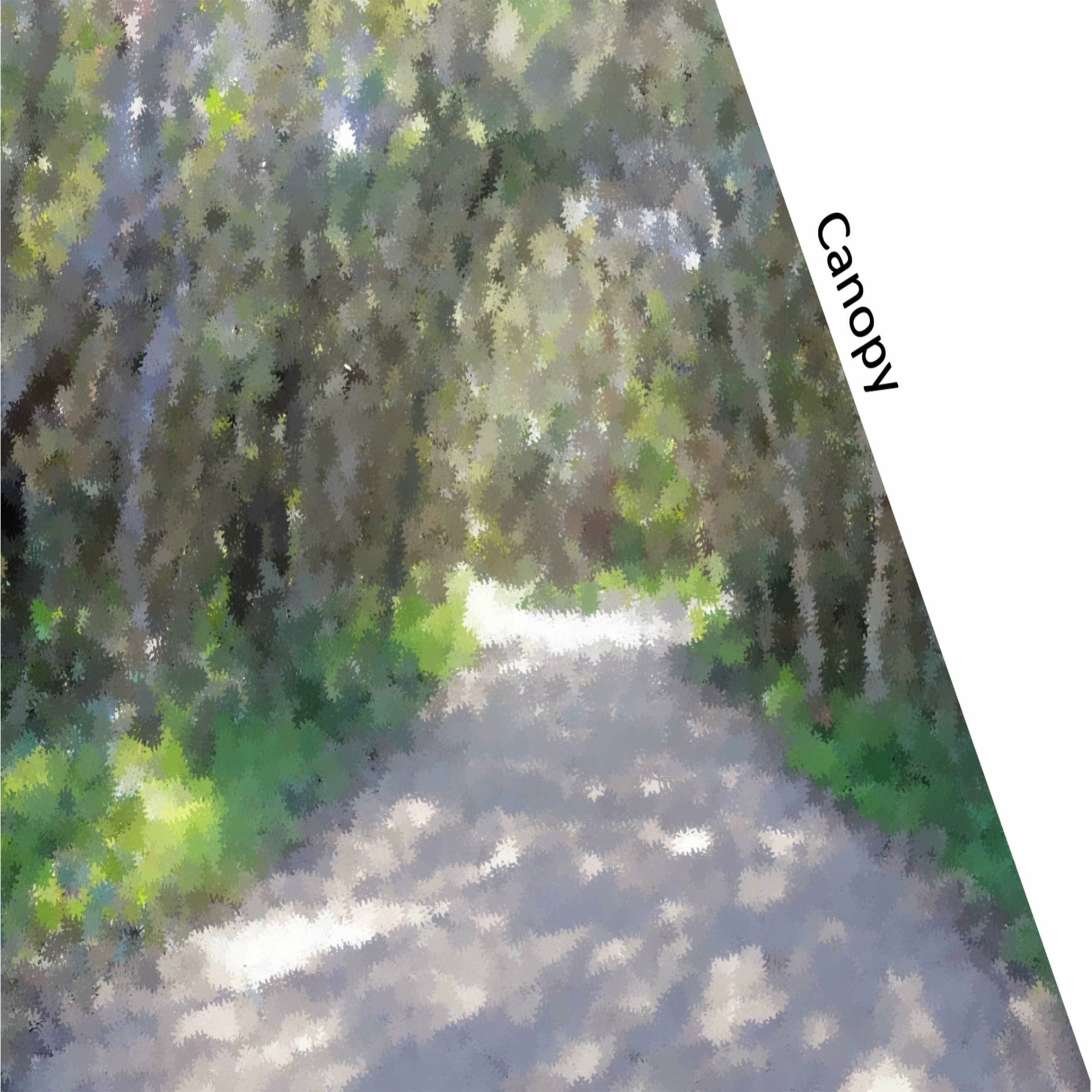 Album cover of Canopy