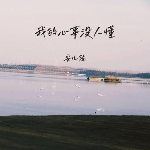 我的心事没人懂