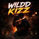 Wildd Kizz by Dj Fox album cover