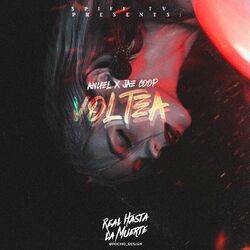 Cover of Voltea