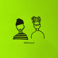 Cover of illusional