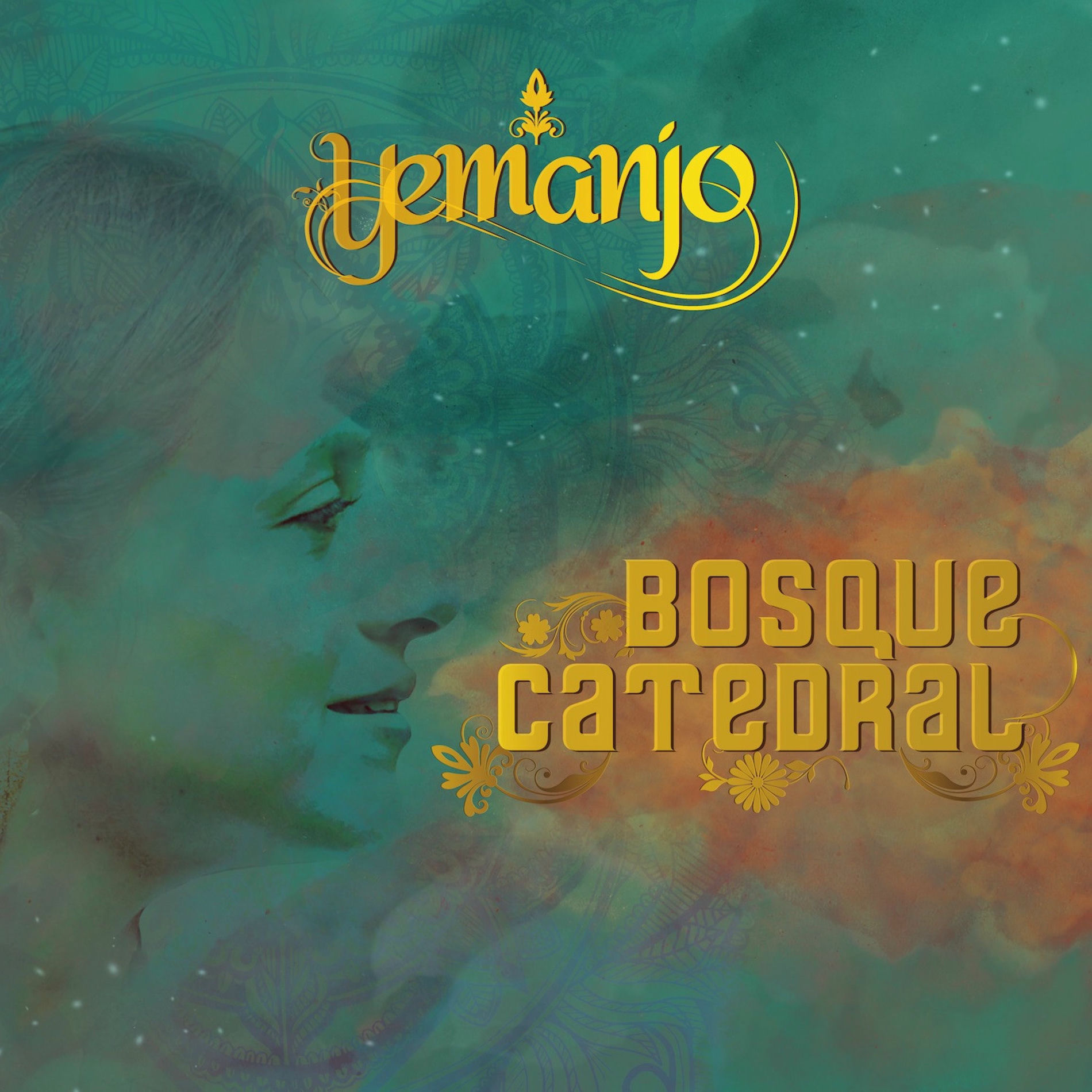 Album cover of Bosque Catedral
