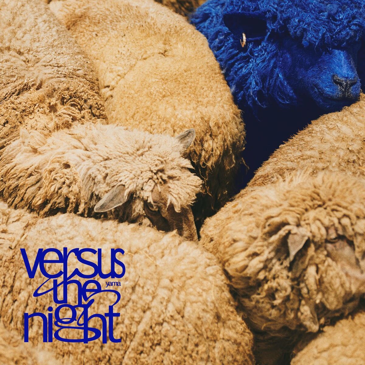 Album cover of Versus the night