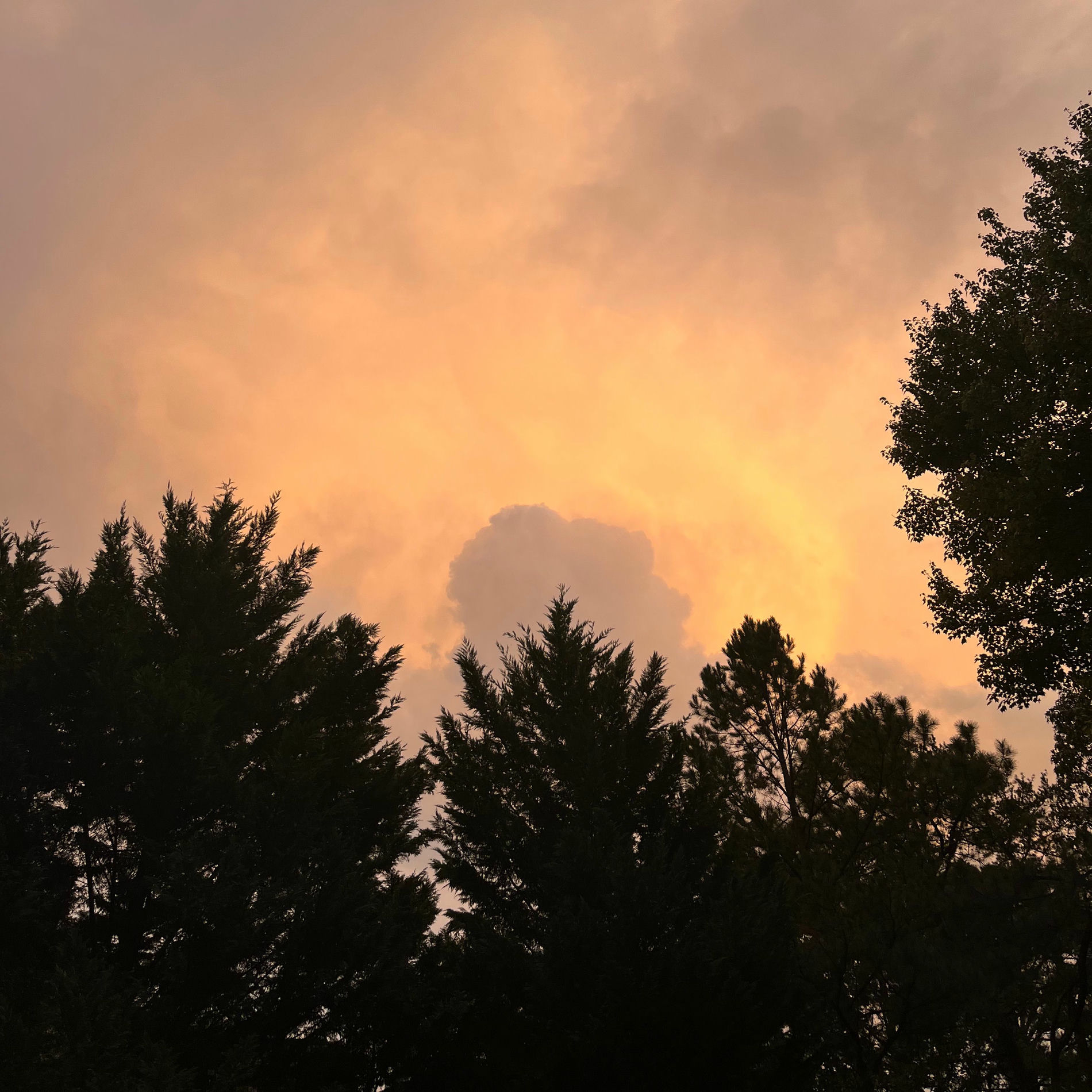 Album cover of worth more than gold