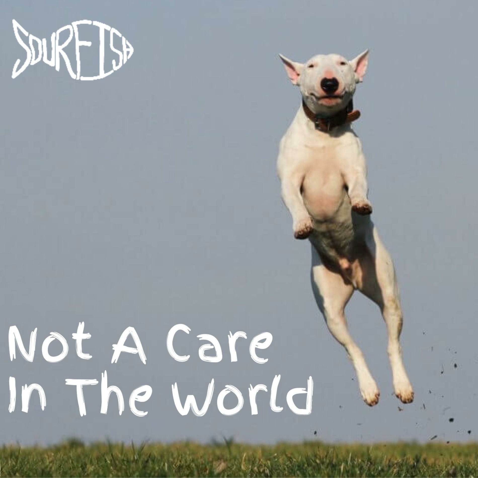 Album cover of Not a Care in the World (feat. Taxman)