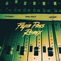 Cover of Flyin' Pass (Remix)