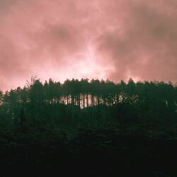 Cover of Past Lives