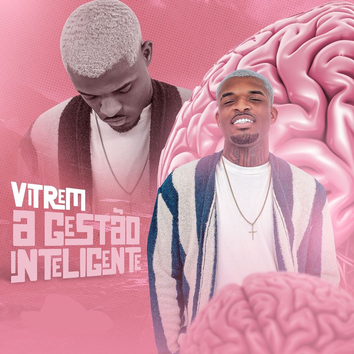 Album cover of Vitrem A Gestão Inteligente
