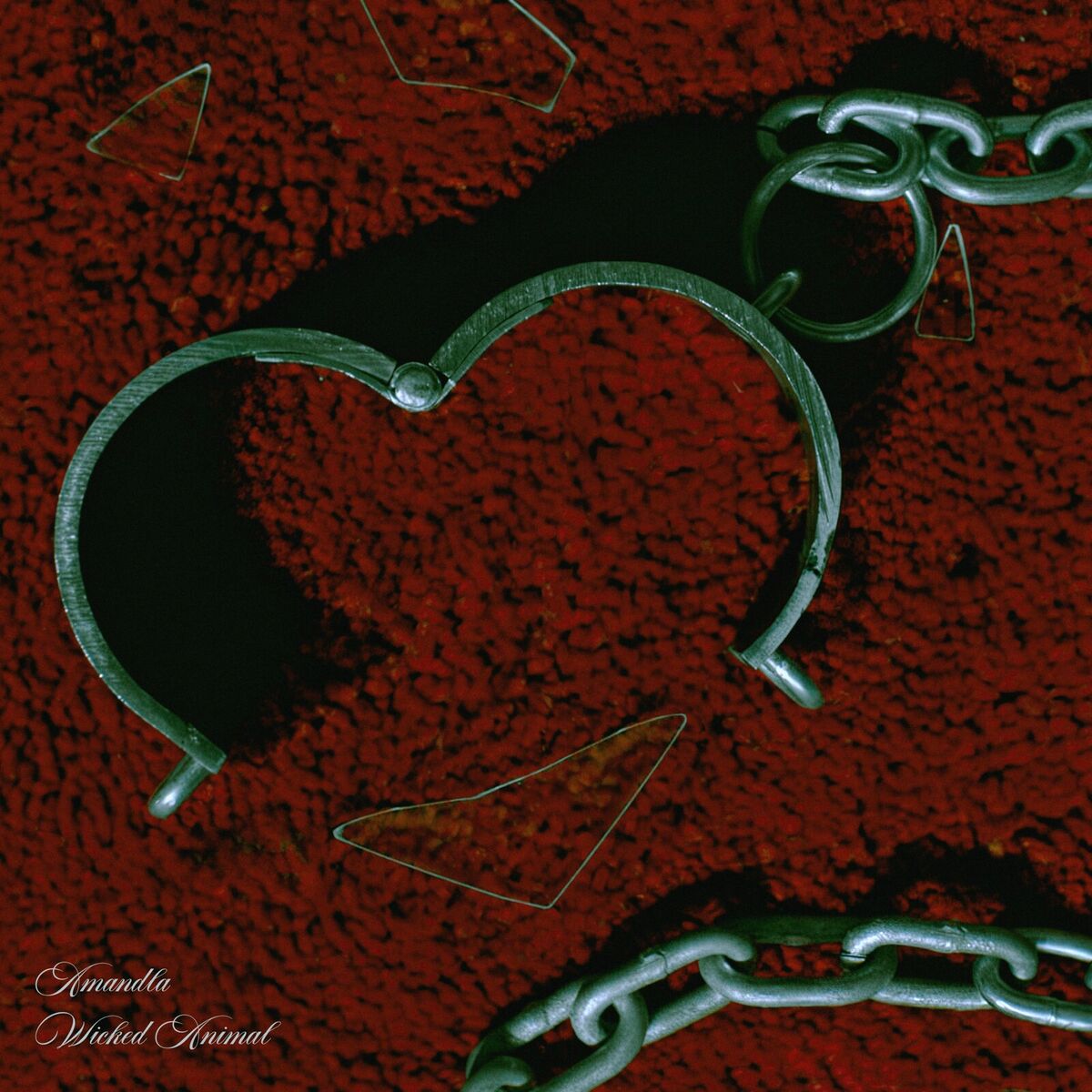 Album cover of Wicked Animal