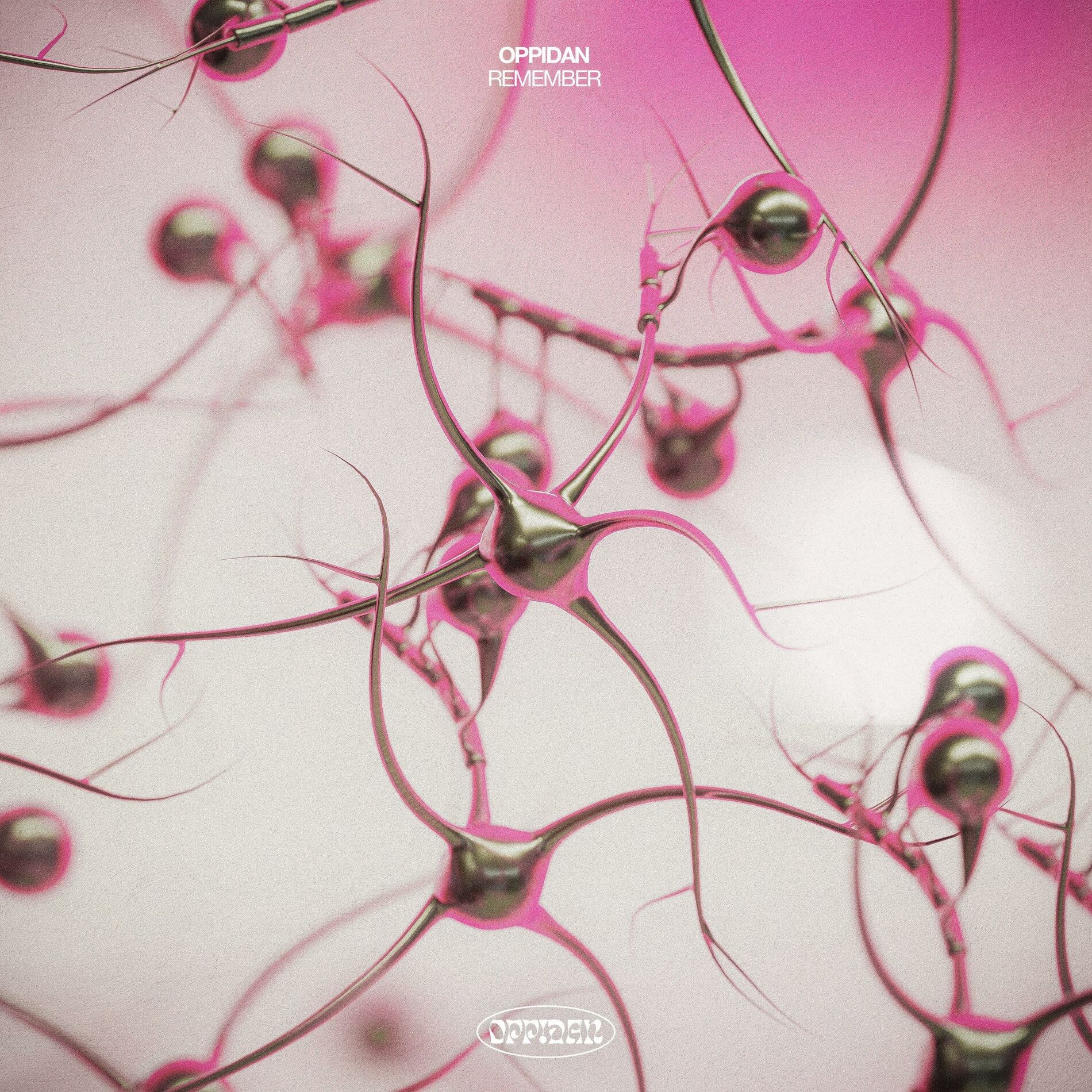 Album cover of Remember