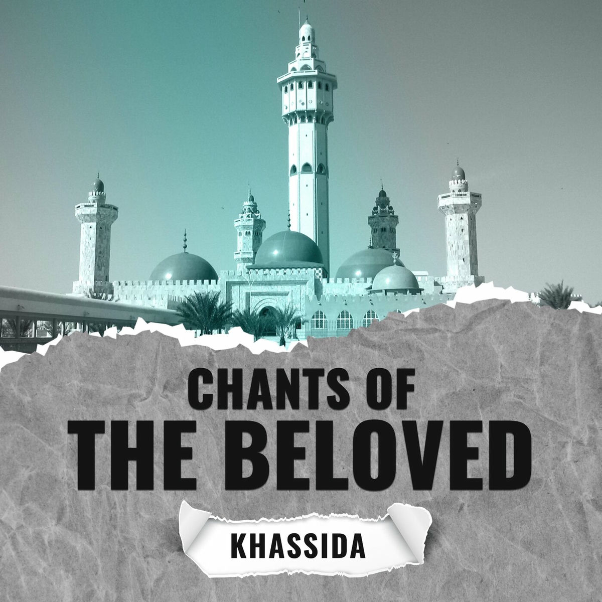 Album cover of Chants of the Beloved