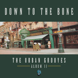 Cover of The Urban Grooves: Album II