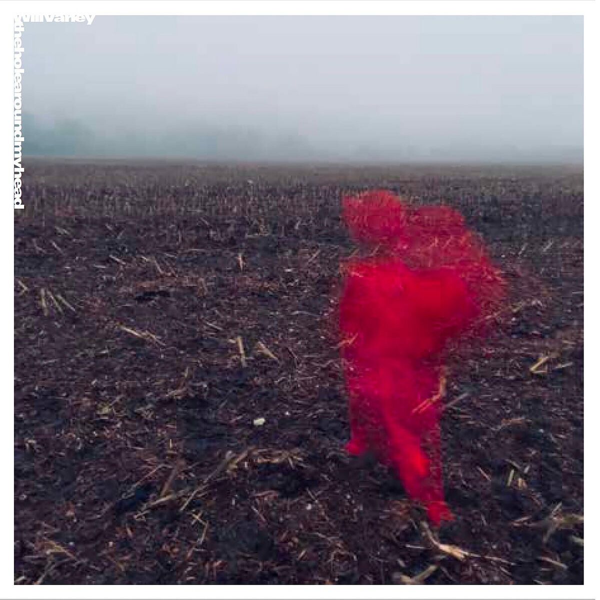 Album cover of The Hole Around My Head