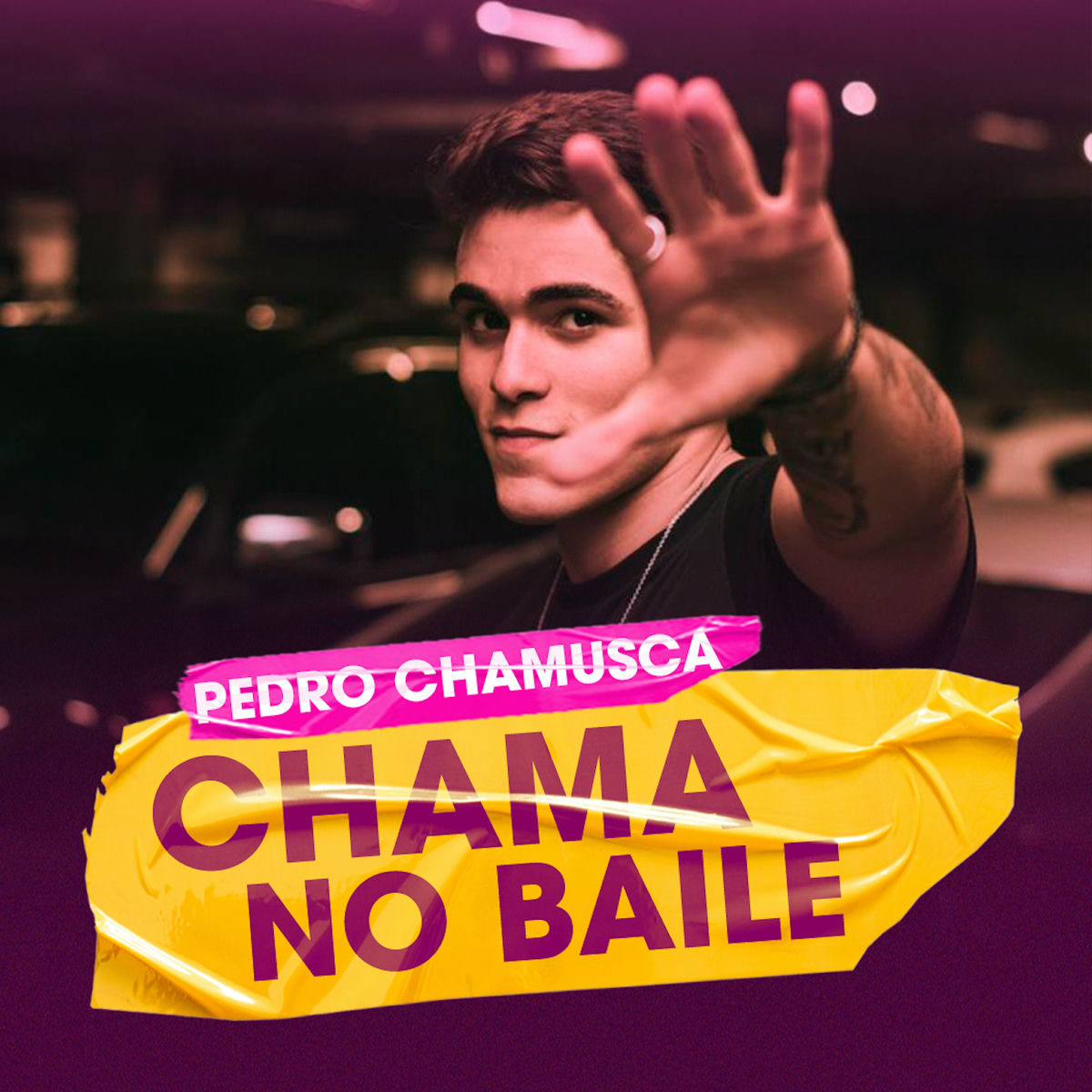 Album cover of Chama no Baile