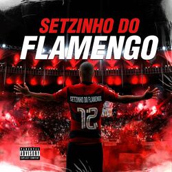 Cover of Setzinho do Flamengo