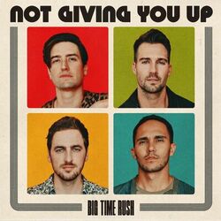 Cover of Not Giving You Up