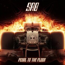 Cover of Pedal to the floor