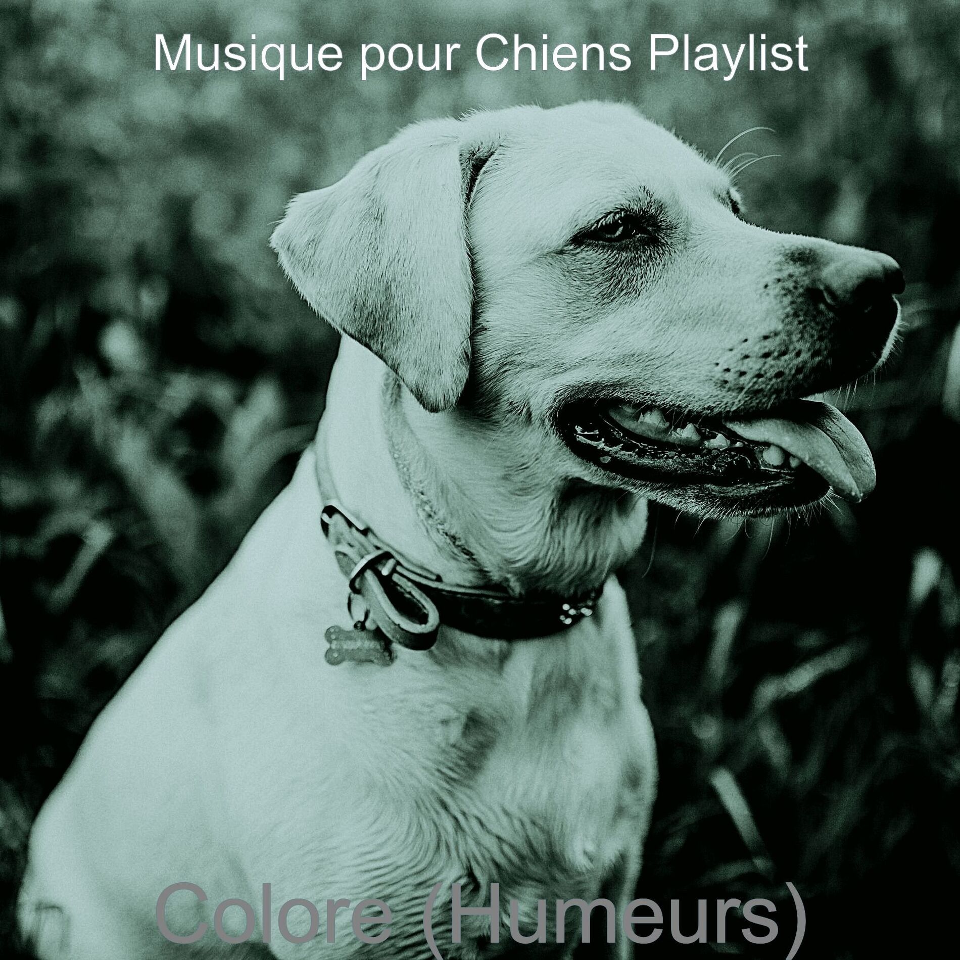 Album cover of Colore (Humeurs)