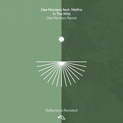 Cover of In The Wild (Dee Montero Revisit)