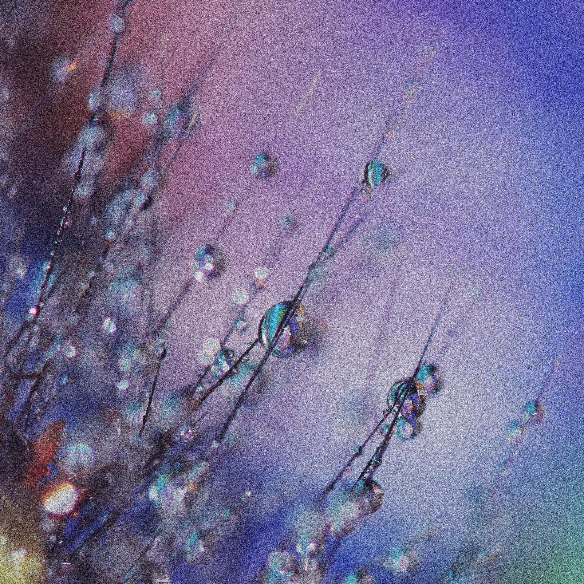 Album cover of From Winter to Spring