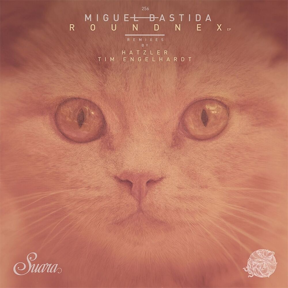 Picture of Roundnex Ep