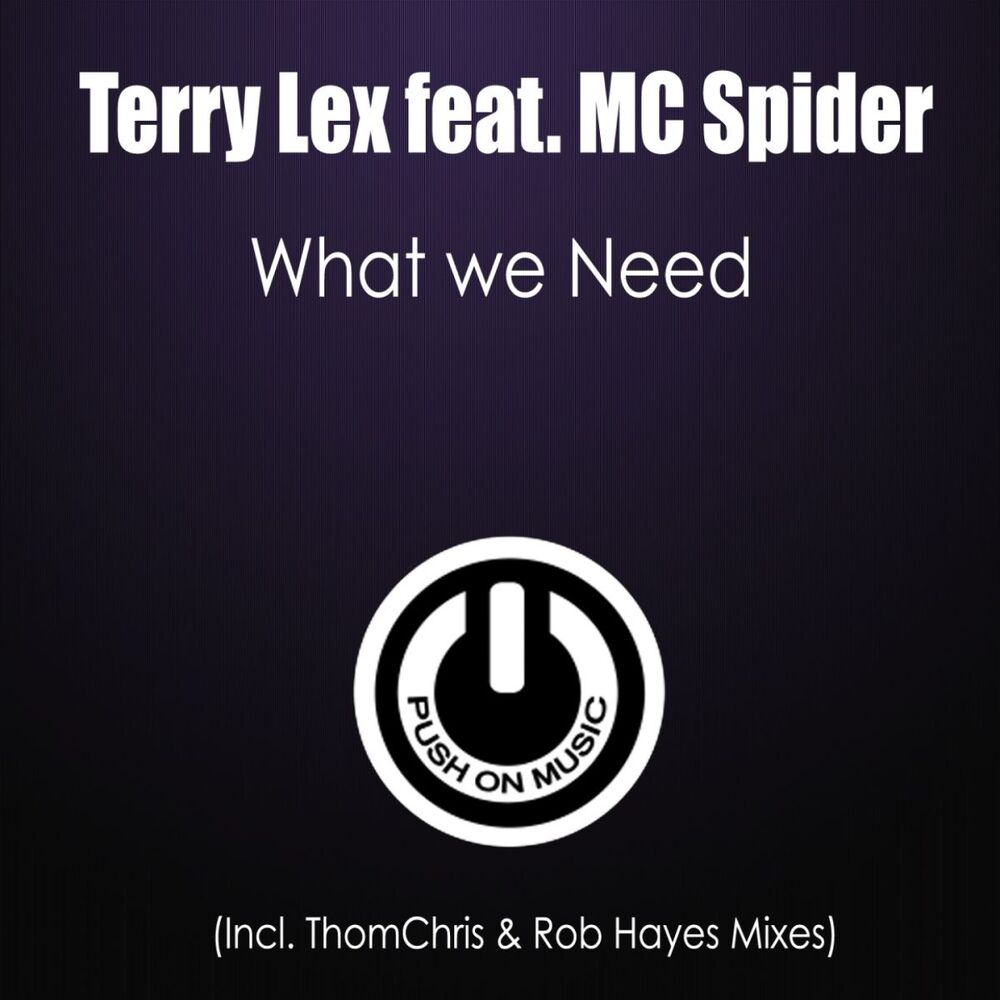 Picture of What We Need (Thomchris & Rob Hayes Mixes)