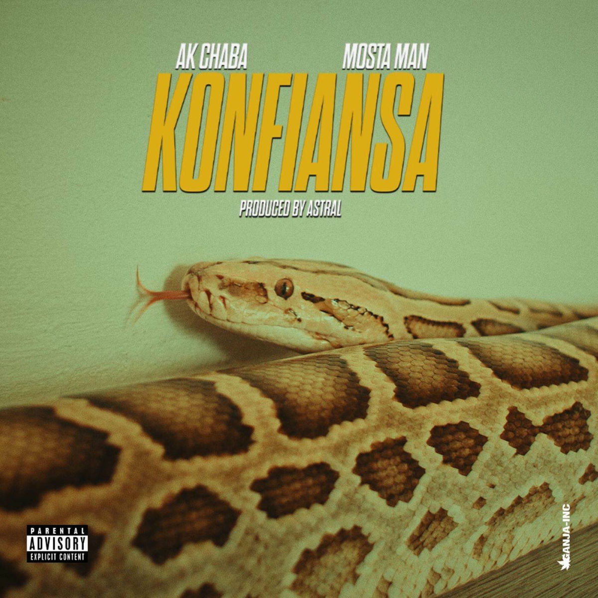 Album cover of KONFIANSA