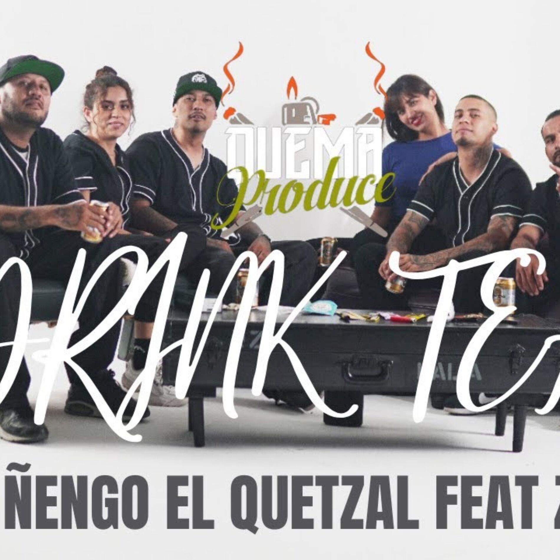 Album cover of Drink Team