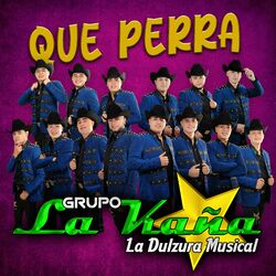 Cover of Que perra