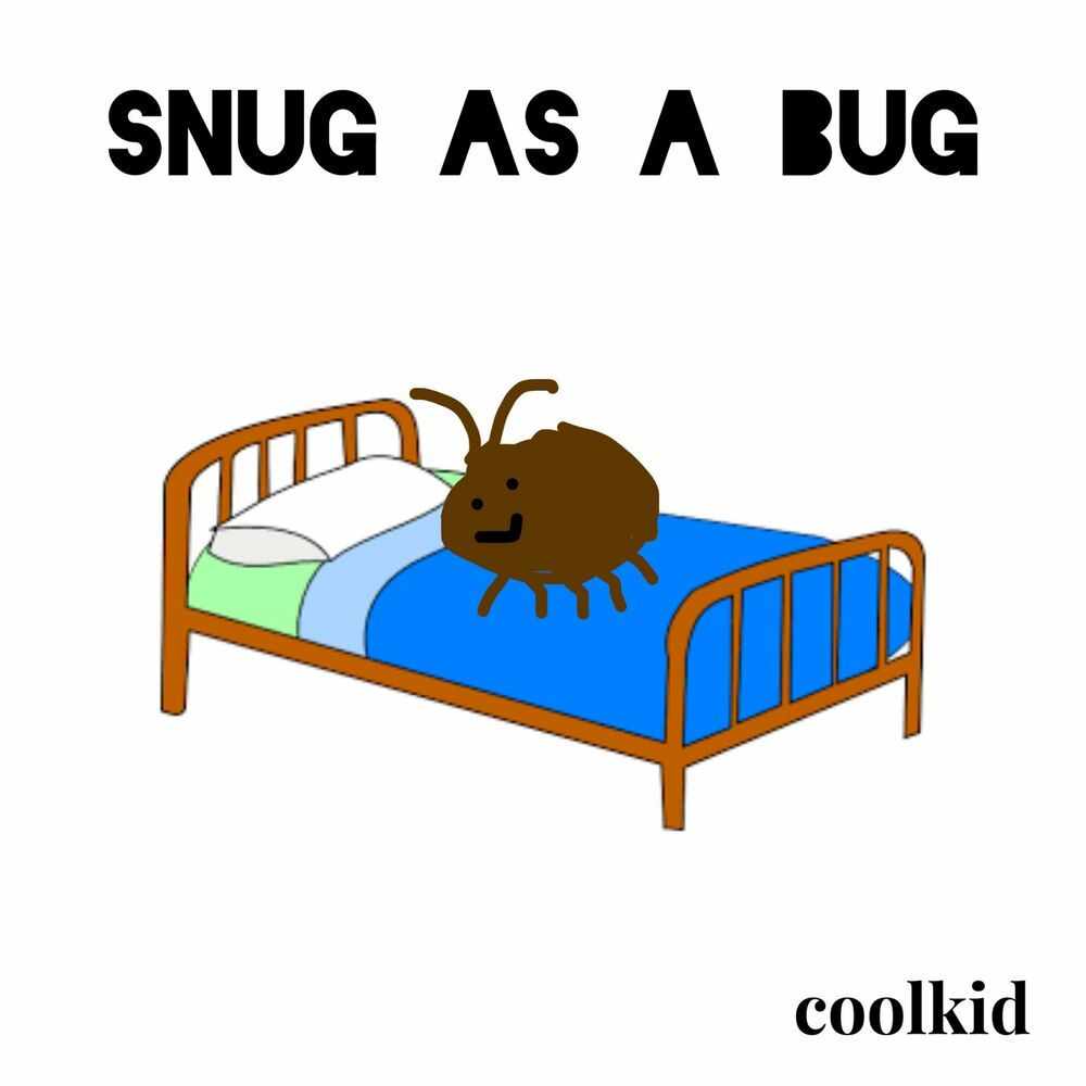 Picture of snug as a bug