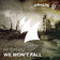 We Won't Fall (Radio Edit) by Husman album cover