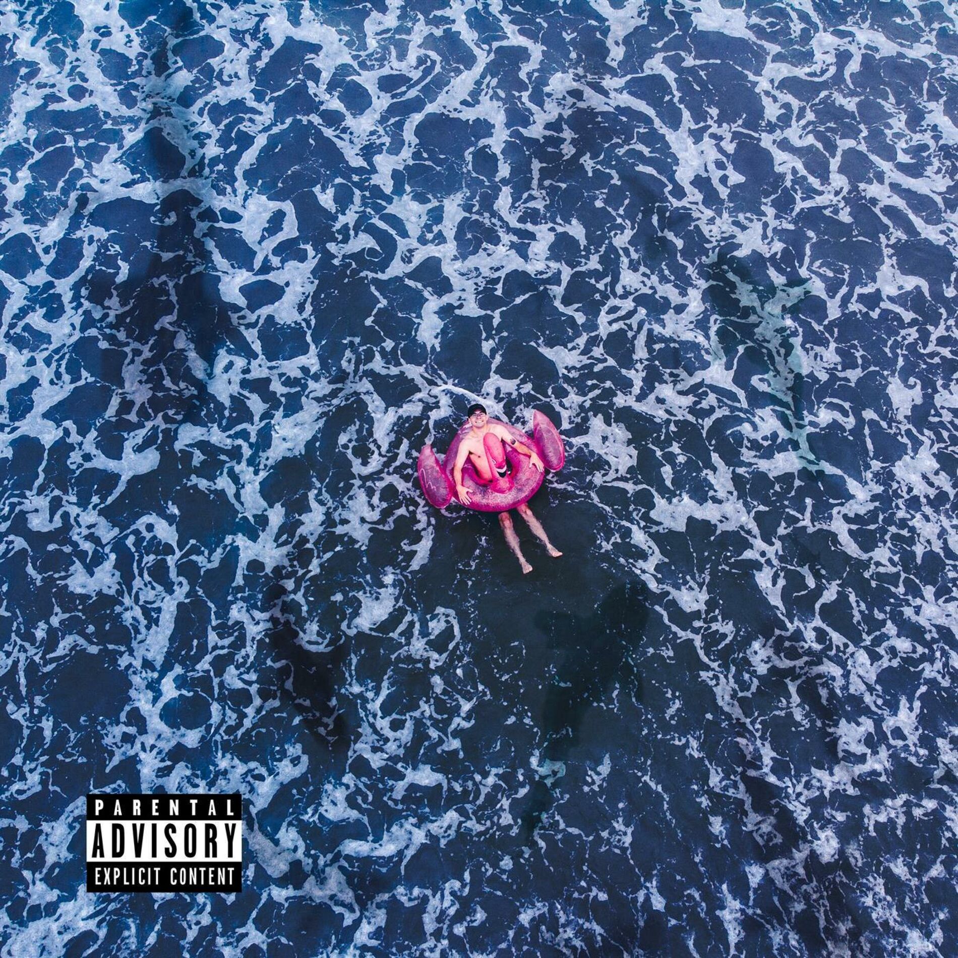 Album cover of Shark Week
