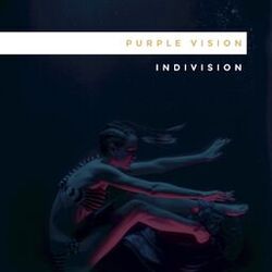 Cover of Purple Vision
