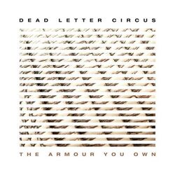 Cover of The Armour You Own
