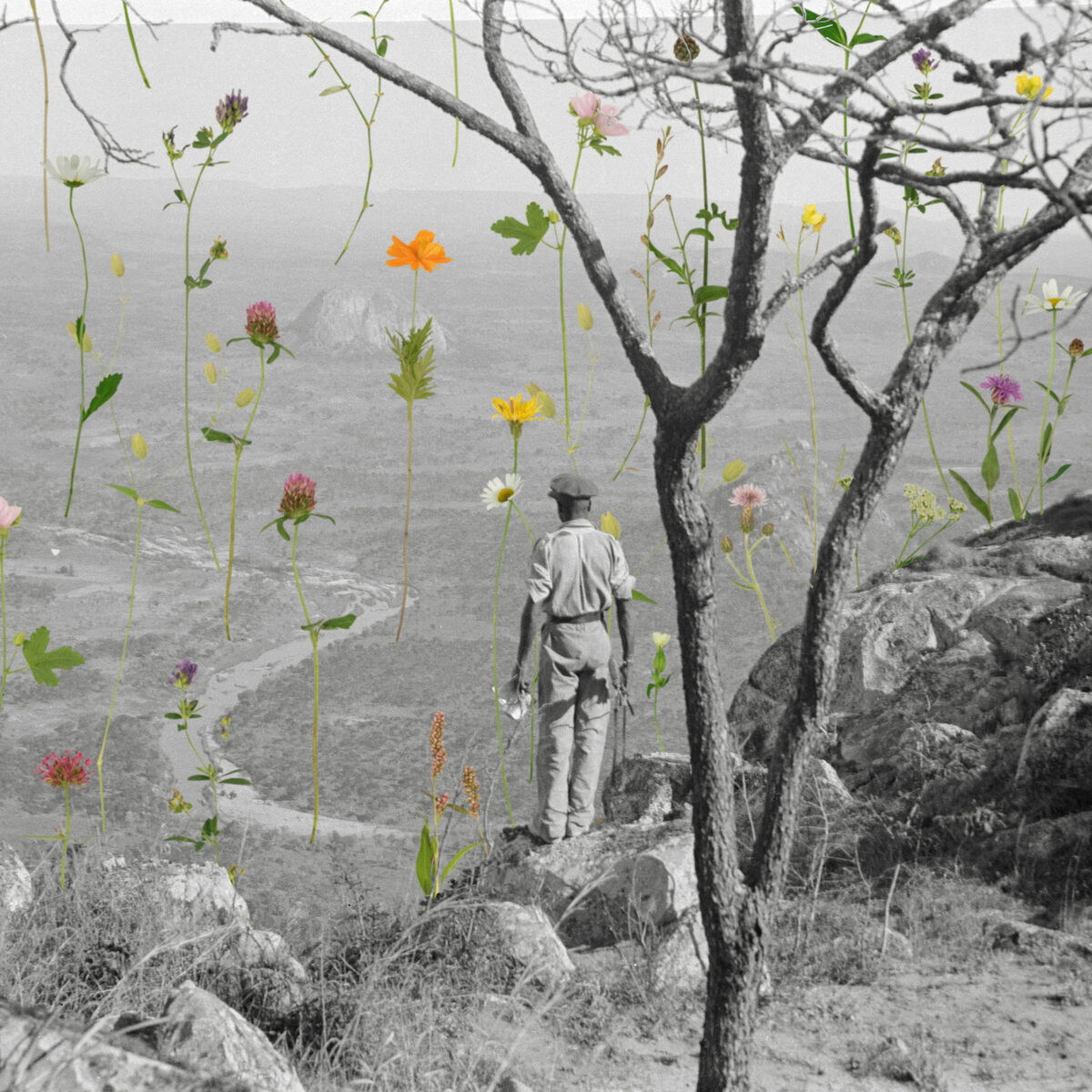 Album cover of Milambi