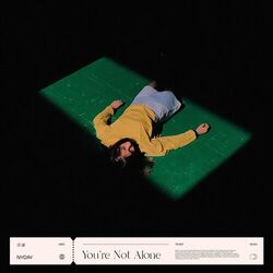 Cover of You're Not Alone