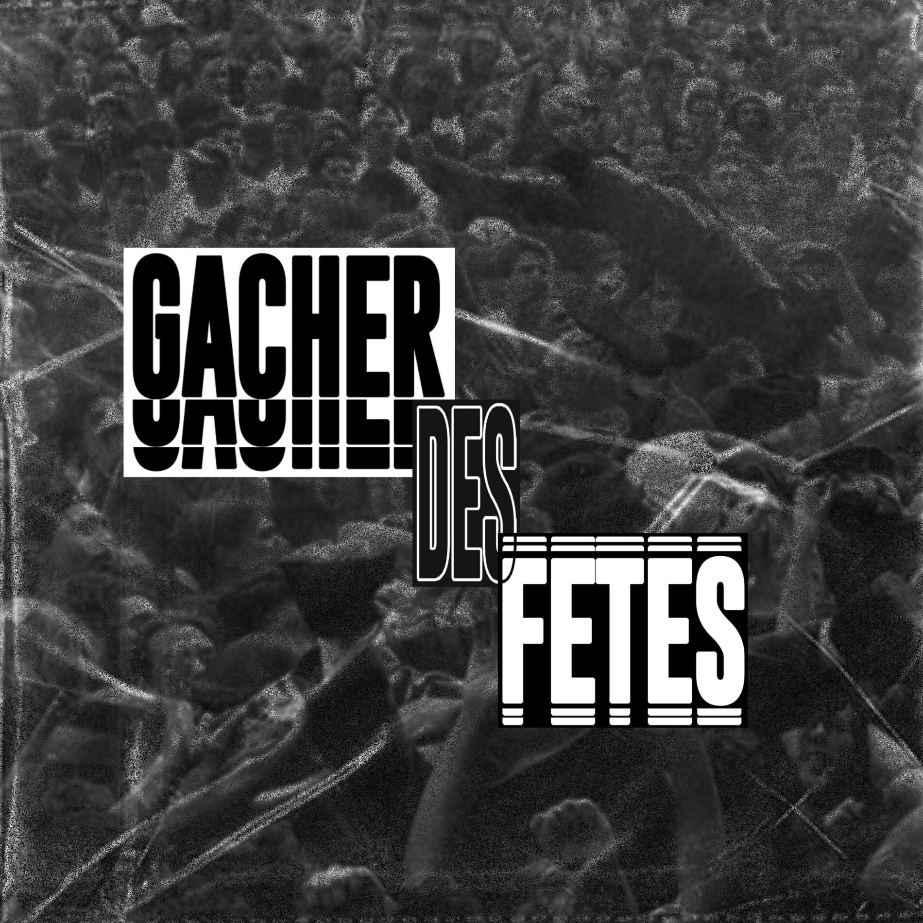 Album cover of Gâcher Des Fêtes