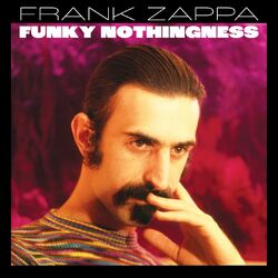 Cover of Funky Nothingness