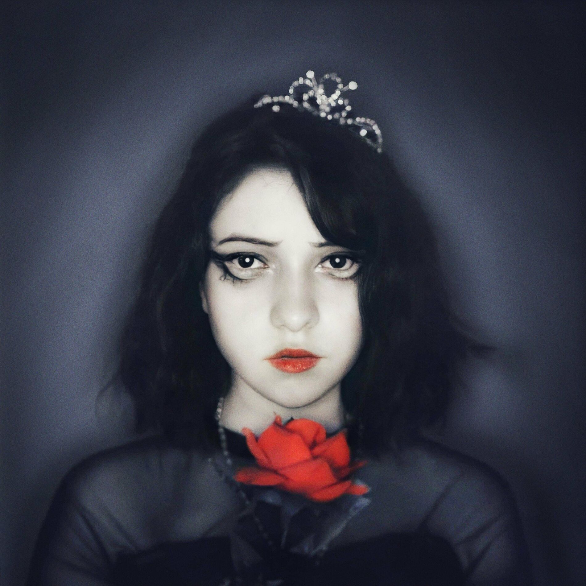 Album cover of Queen Of The Night