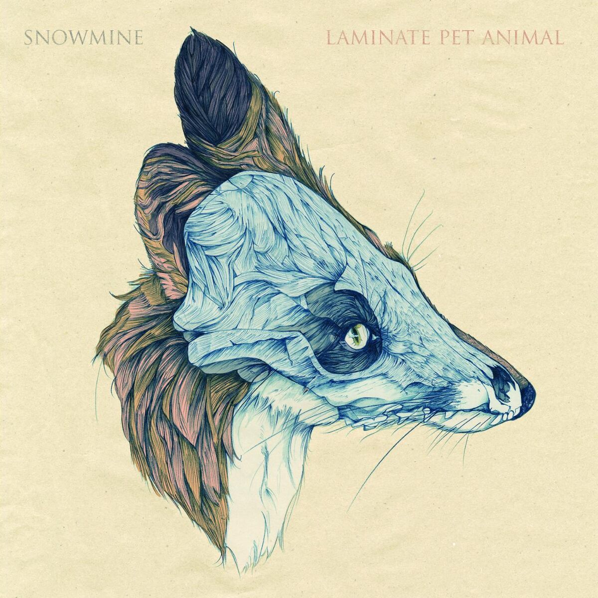 Album cover of Laminate Pet Animal