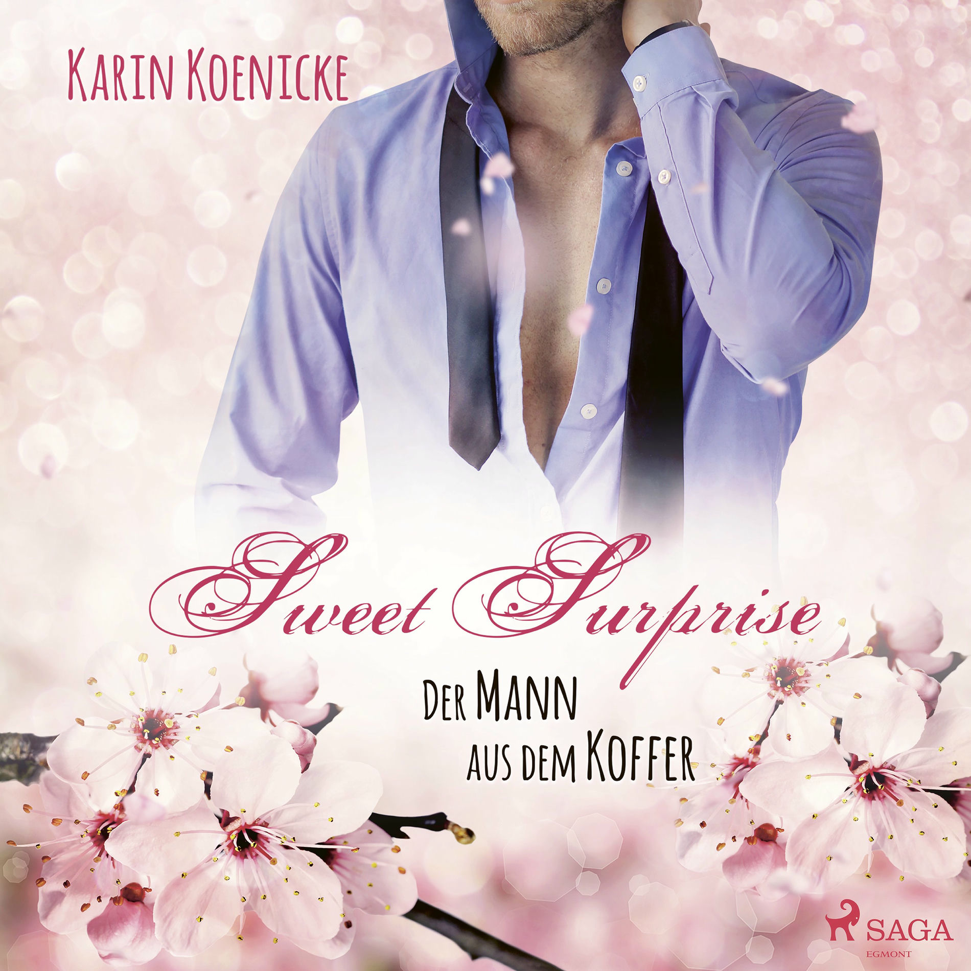 Album cover of Sweet Surprise - Der Mann aus dem Koffer